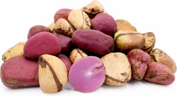 Cola Nuts