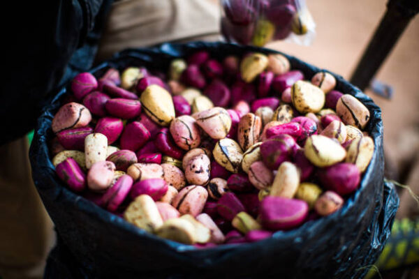 Cola Nuts - Image 2